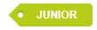 Junior Label grün